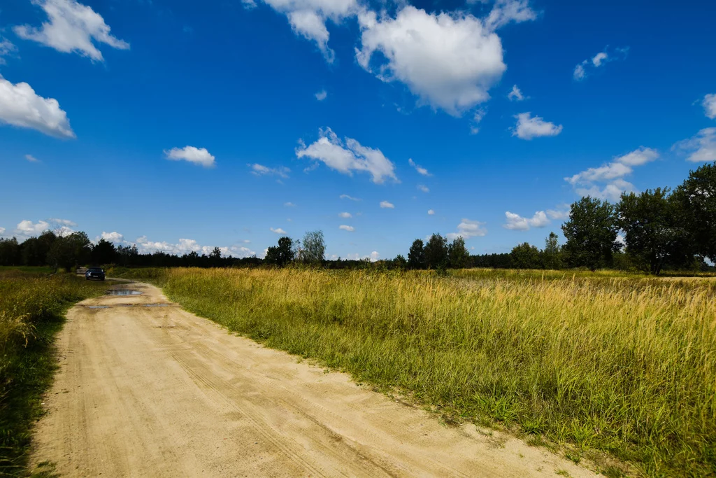 Działka 48 000,00 m², Budy Głogowskie, Sprzedaż