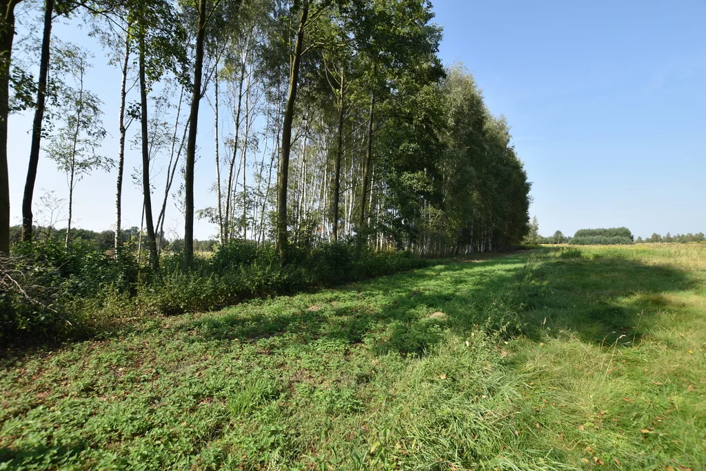 Działka 842,00 m², oferta nr , 378/7393/OGS, Trzebuska