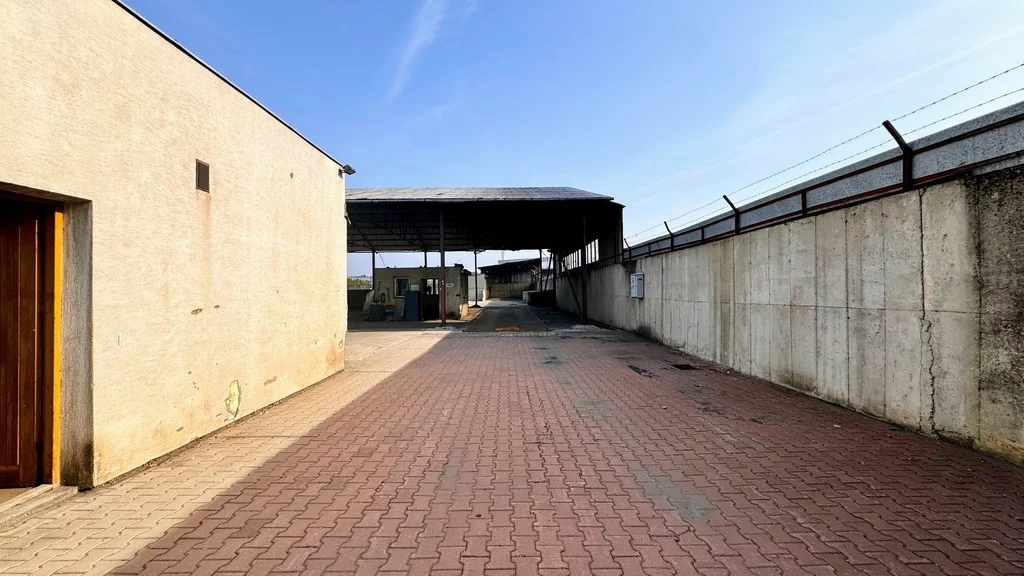 Lokal użytkowy 5 900,00 m², oferta nr , 8/7393/OOW, Rzeszów