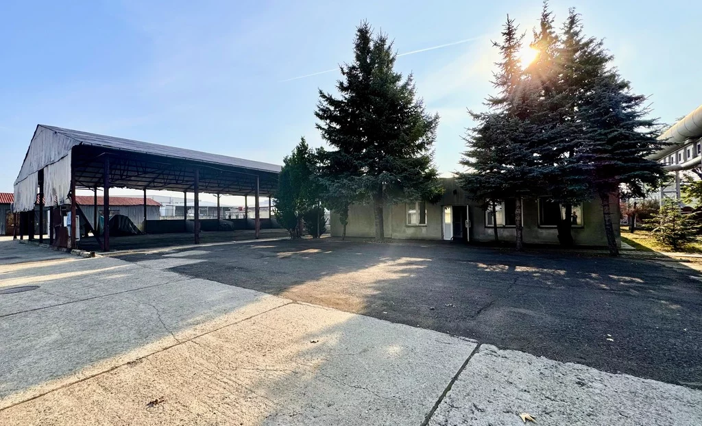 Lokal użytkowy 5 900,00 m², oferta nr , 8/7393/OOW, Rzeszów