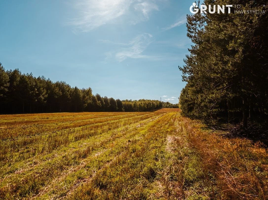 Działka 1 076,00 m², oferta nr , 2500200, Bełchatów