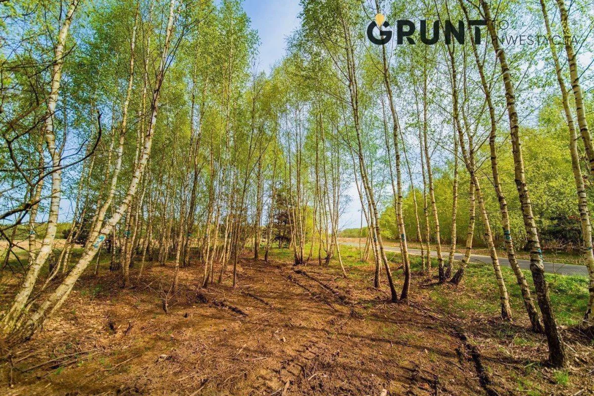 Działka 723,00 m², oferta nr , 3090200, Jania Góra