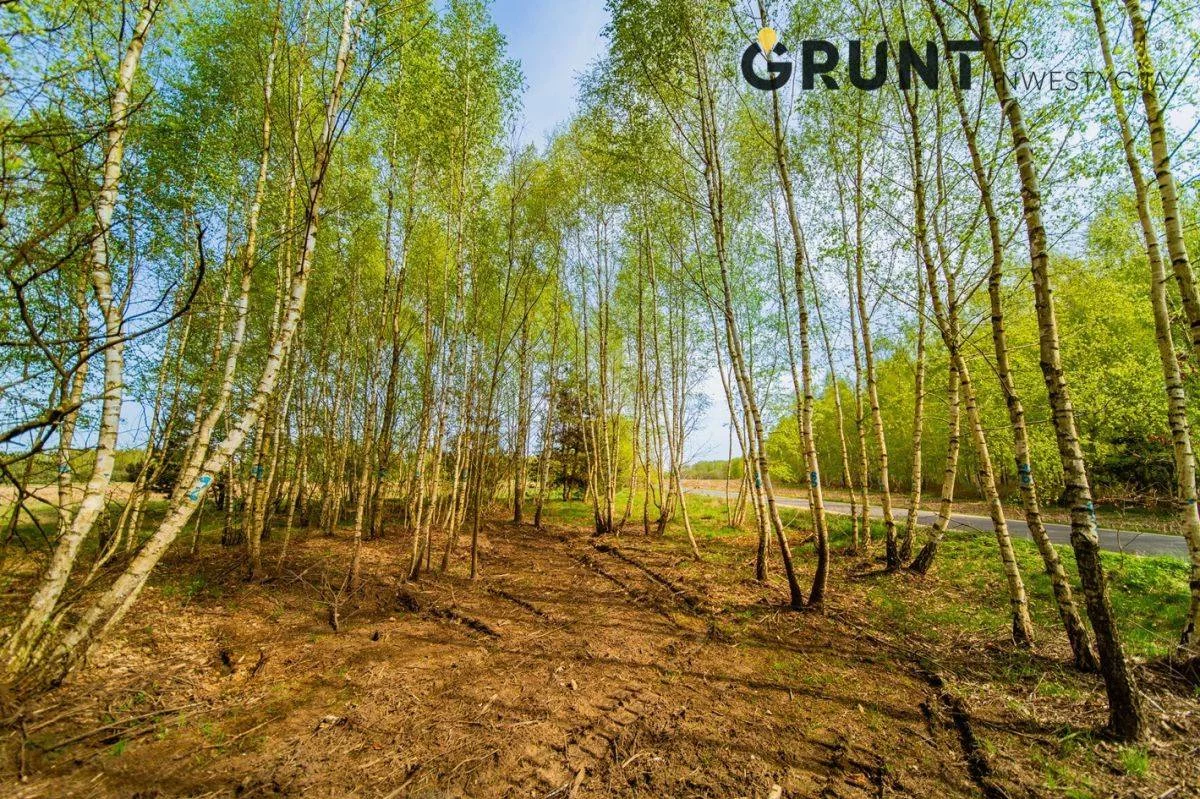 Działka 723,00 m², oferta nr , 40200, Łowicz
