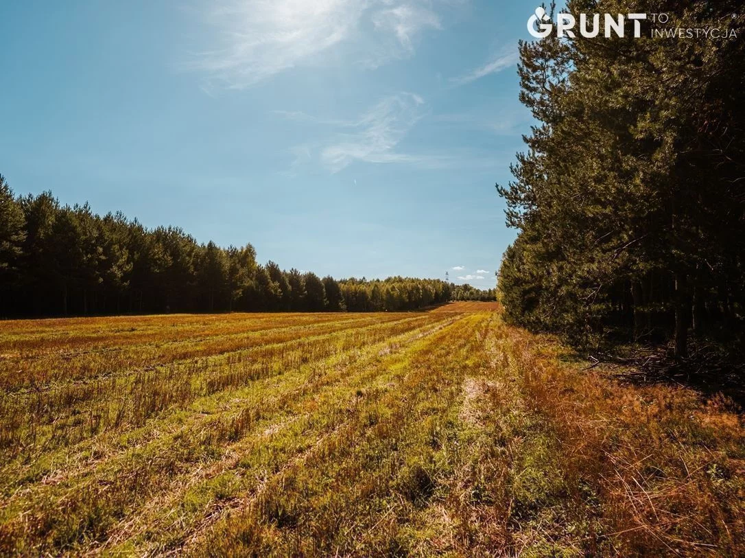 Działka 1 076,00 m², oferta nr , 540200, Miedźno