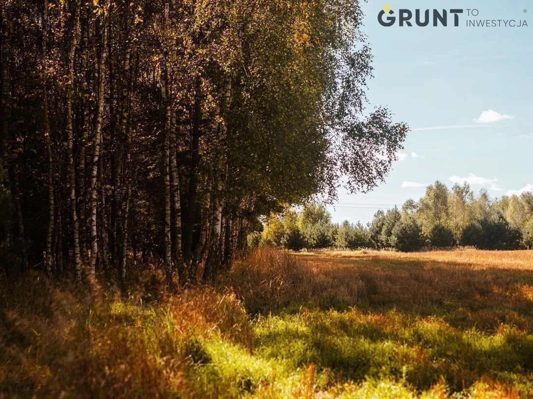 Działka 1 076,00 m², oferta nr , 540200, Miedźno