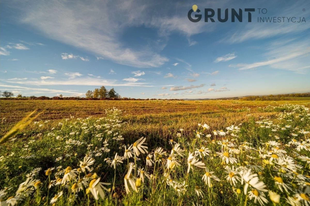 Działka 816,00 m², oferta nr , 2520200, Polanica-Zdrój