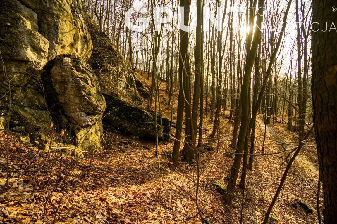 Działka 524,00 m², oferta nr , 1640200, Złoty Potok