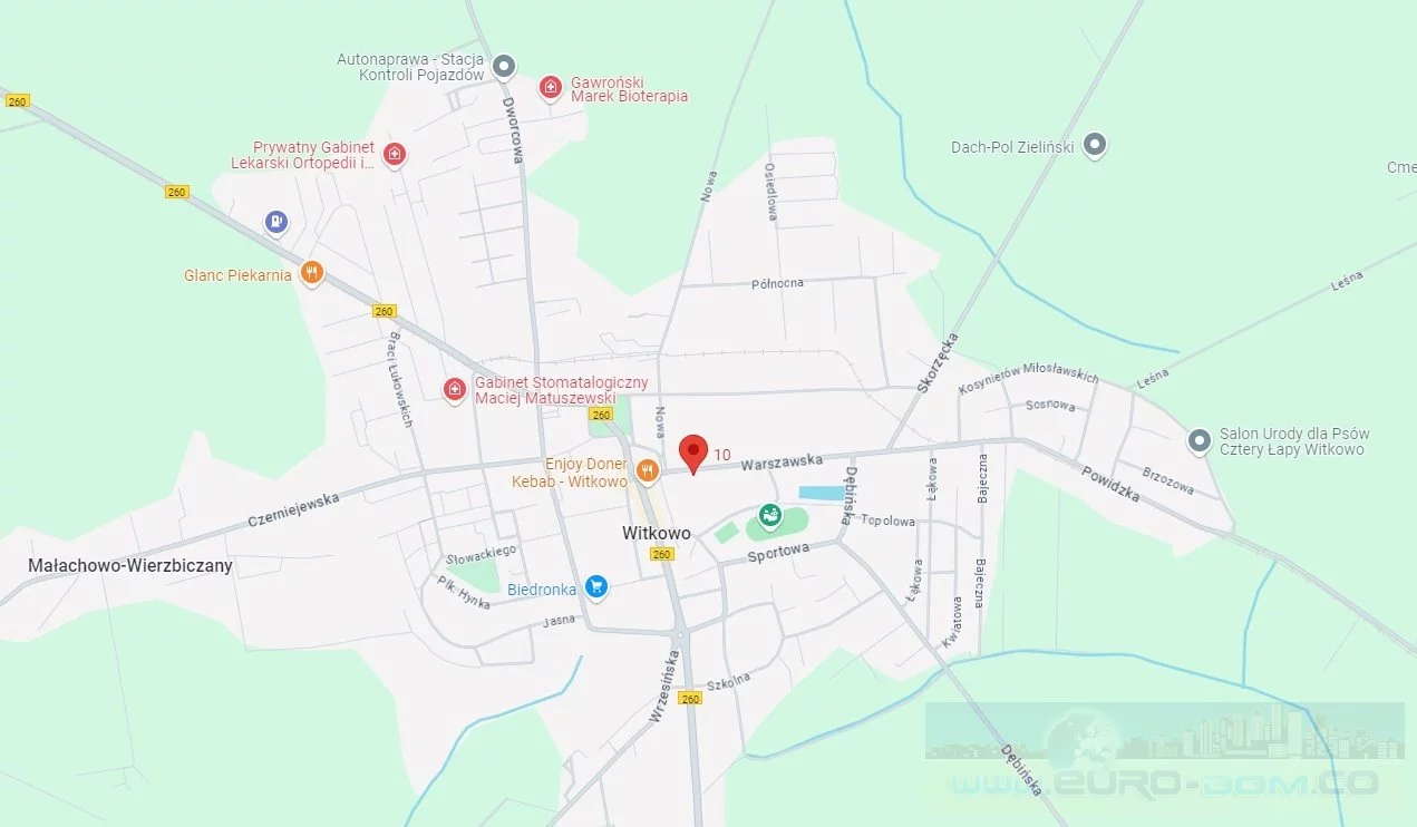 Dom 2 999,00 m², oferta nr , EDO-DS-5557, Witkowo, Warszawska