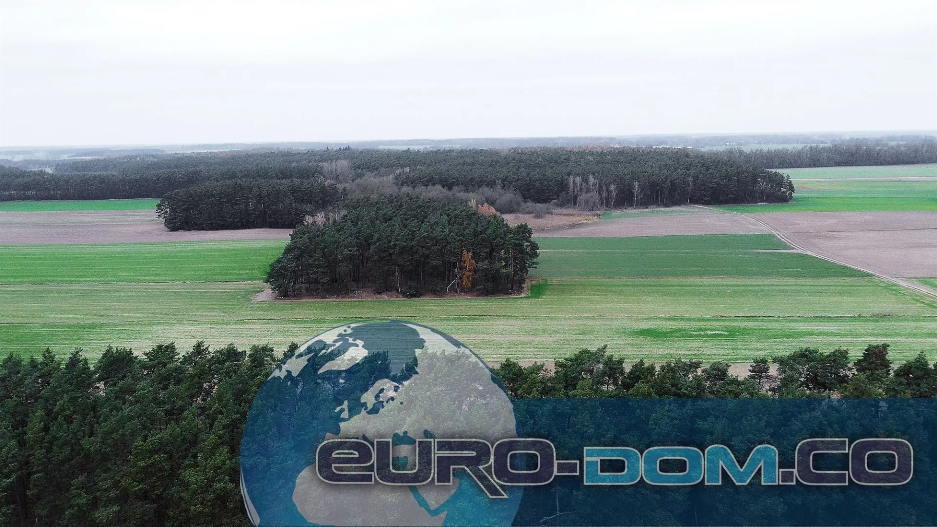 Działka 29 400,00 m², oferta nr , EDO-GS-5633, Krzywiń