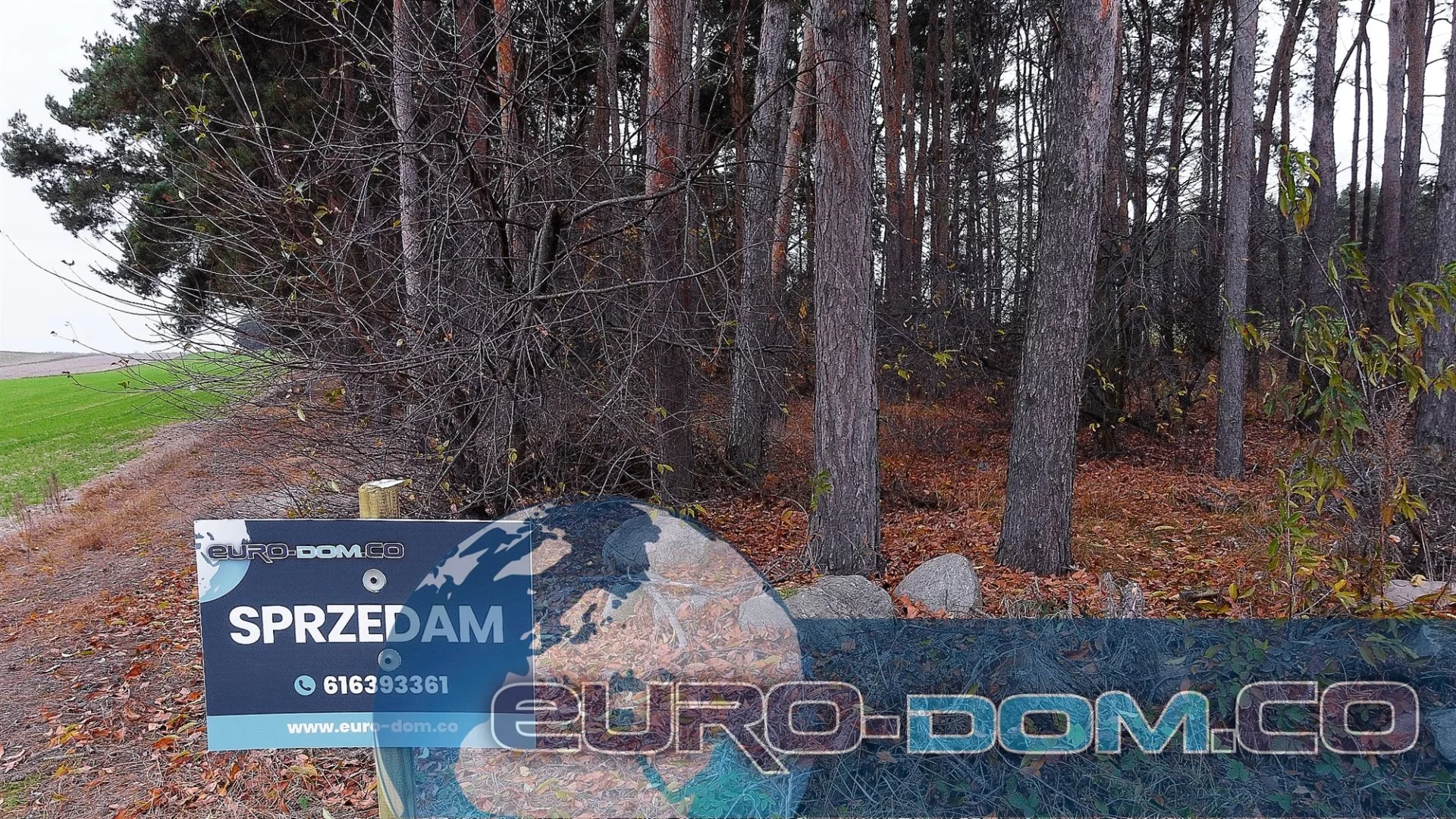 Działka 29 400,00 m², oferta nr , EDO-GS-5633, Krzywiń