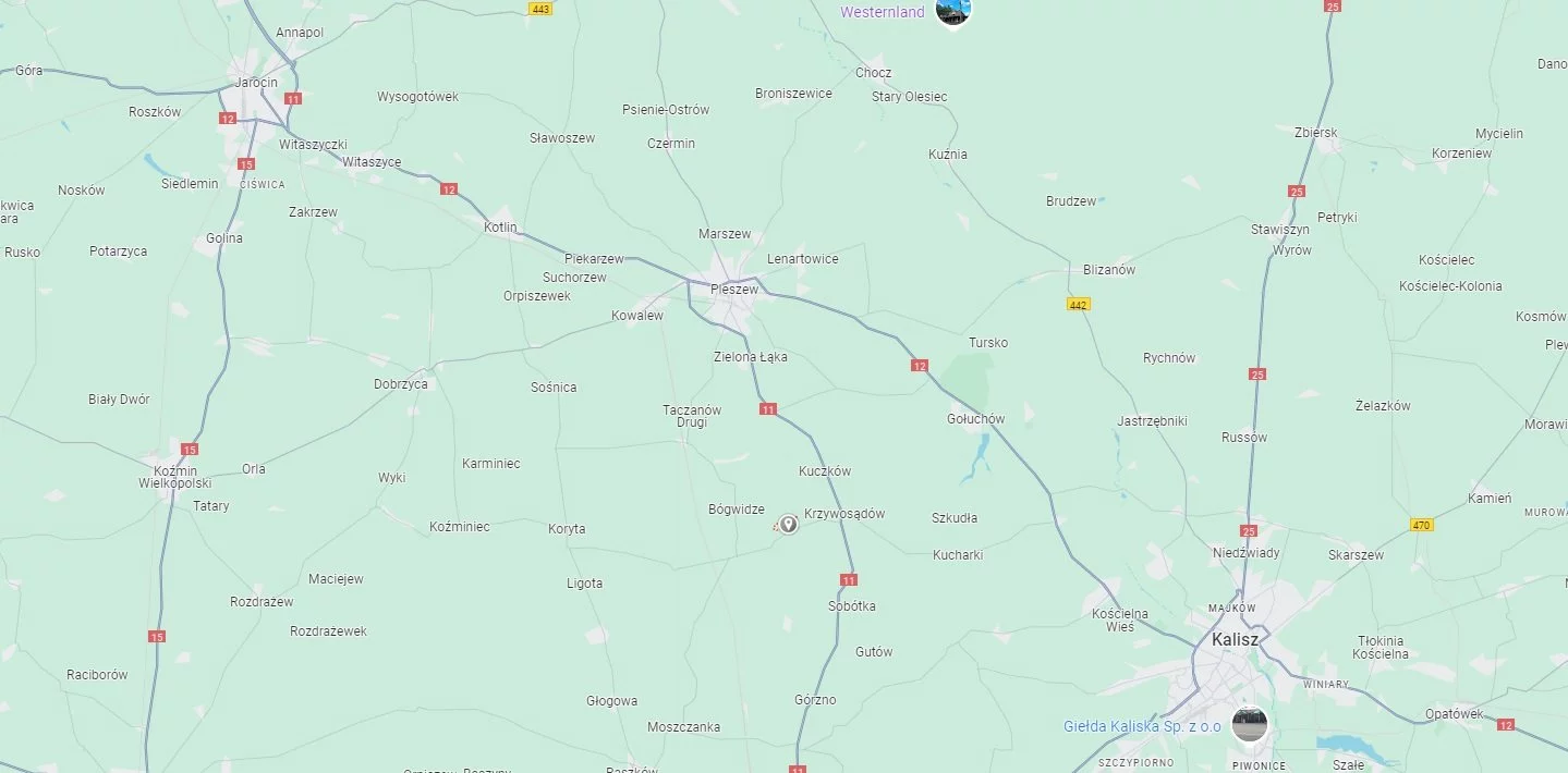 Działka 15 658,00 m², oferta nr , EDO-GS-5558, Pleszew