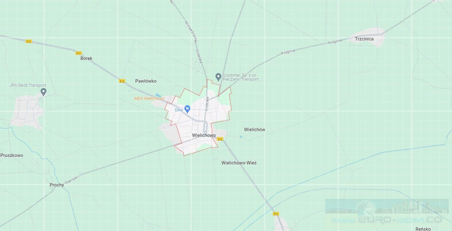 Działka 801,00 m², oferta nr , EDO-GS-5591, Wielichowo