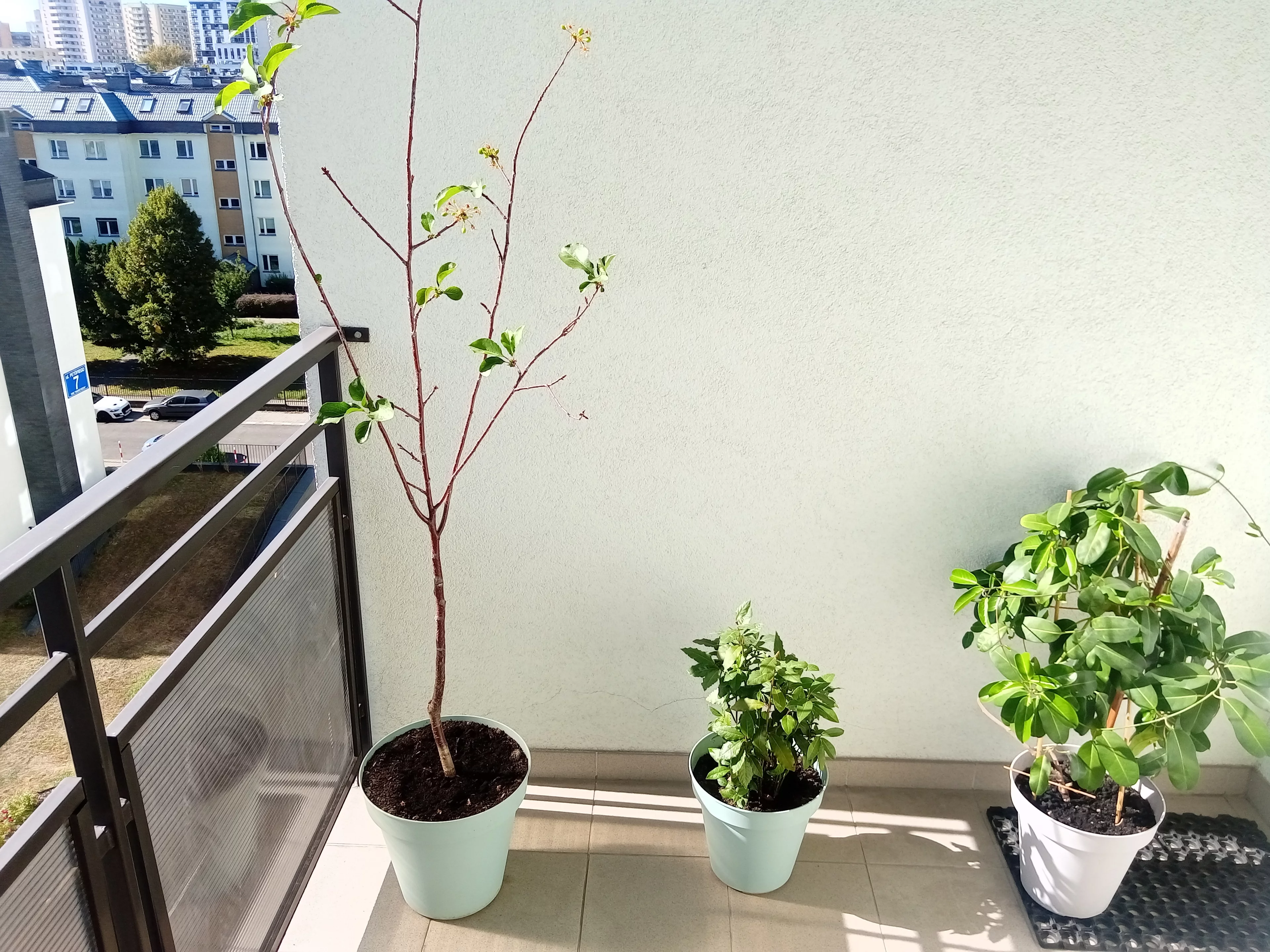 1 pokój, apartament 37,00 m², piętro 5, oferta nr , 9951873, Warszawa, Bielany, Wawrzyszew, ul.Petofiego S.  