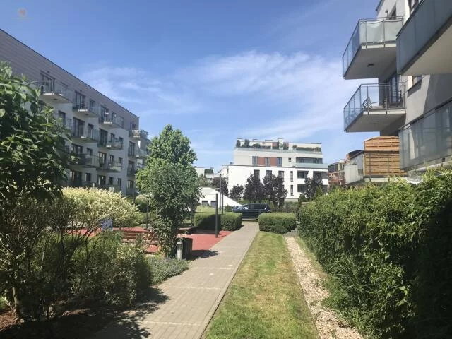 221 - zdjęcie nr 0