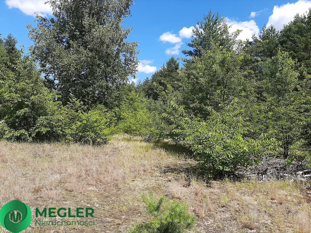 Apartamenty 256/9507/OGS Musuły
