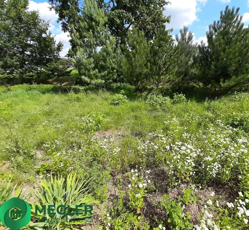 258/9507/OGS - zdjęcie nr 0