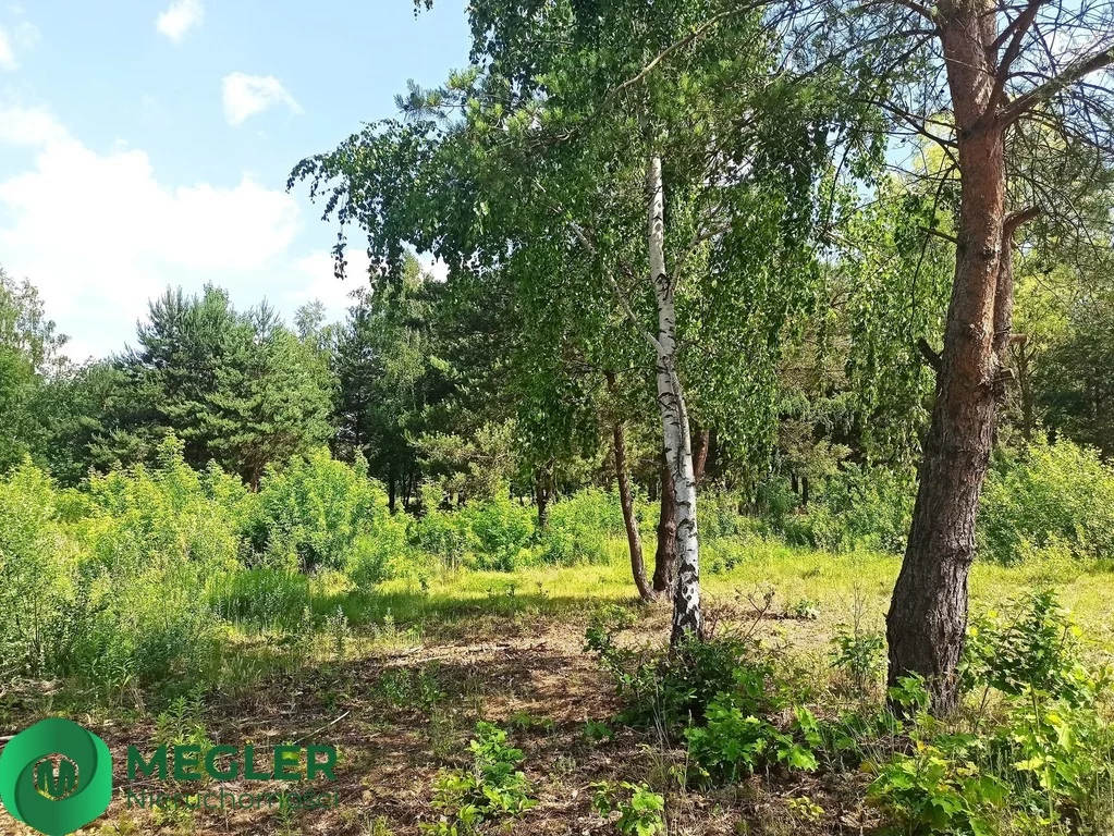 Działka 1 000,00 m², oferta nr , 163/9507/OGS, Ojrzanów