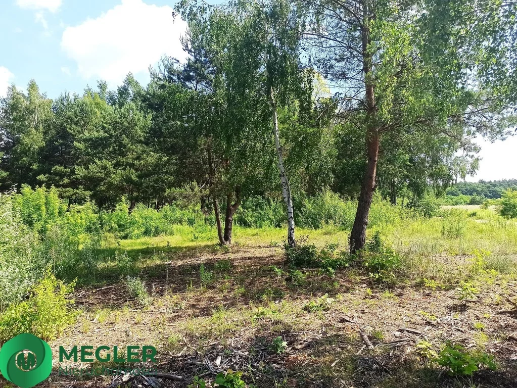 Działka 1 000,00 m², oferta nr , 163/9507/OGS, Ojrzanów