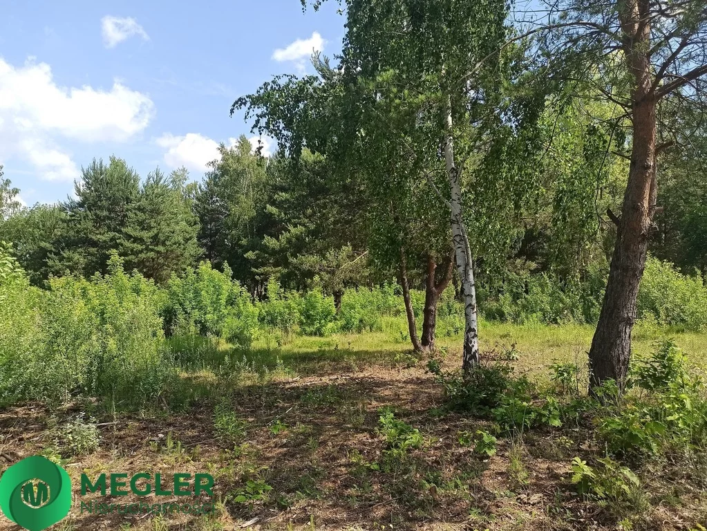 Działka 1 000,00 m², oferta nr , 163/9507/OGS, Ojrzanów