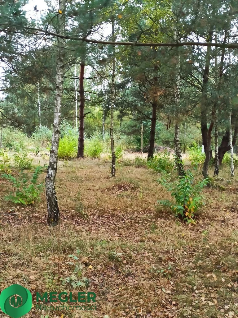 Działka 1 236,00 m², oferta nr , 214/9507/OGS, Osowiec