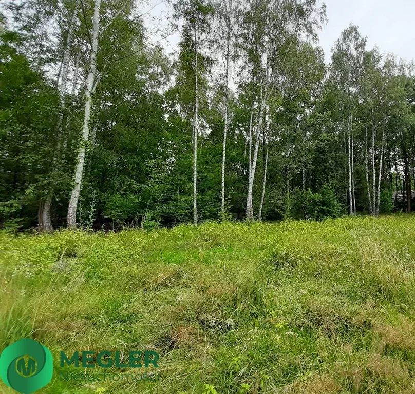 Działka 926,00 m², oferta nr , 257/9507/OGS, Podkowa Leśna