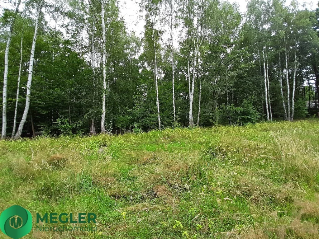 Działka 926,00 m², oferta nr , 257/9507/OGS, Podkowa Leśna