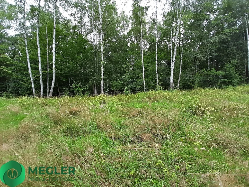 Działka 926,00 m², oferta nr , 257/9507/OGS, Podkowa Leśna