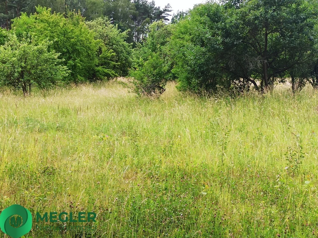 Działka 1 000,00 m², oferta nr , 159/9507/OGS, Rusiec