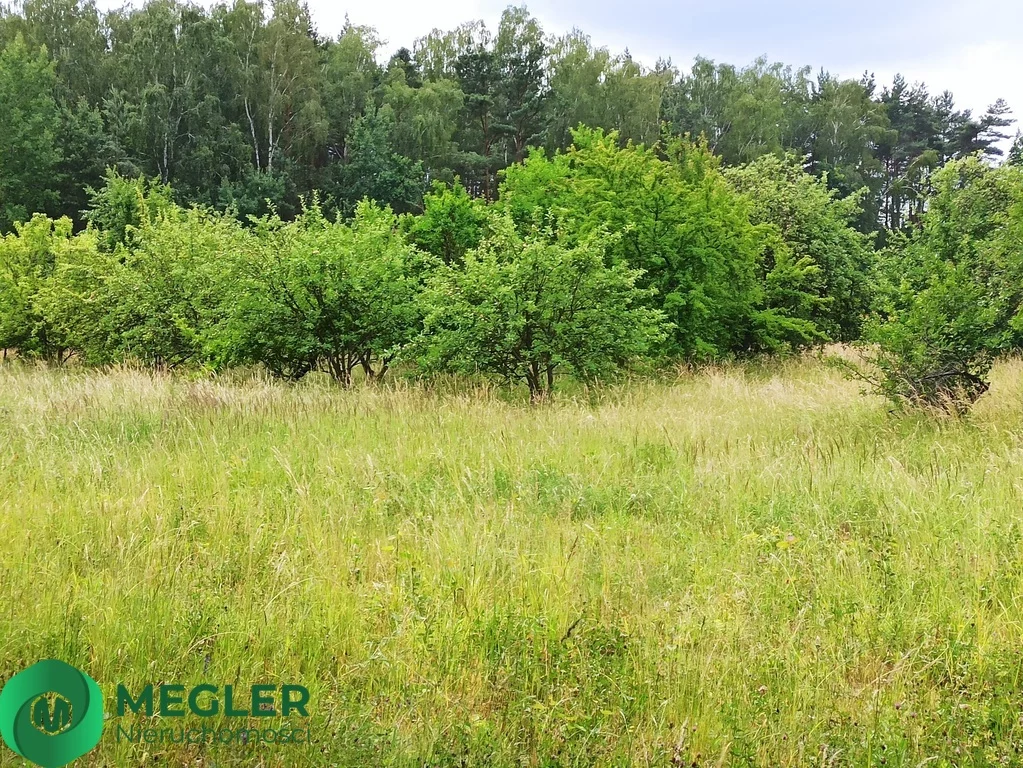 Działka 950,00 m², oferta nr , 198/9507/OGS, Rusiec