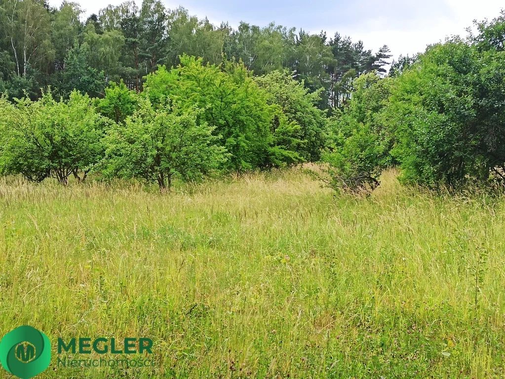 Działka 950,00 m², oferta nr , 198/9507/OGS, Rusiec