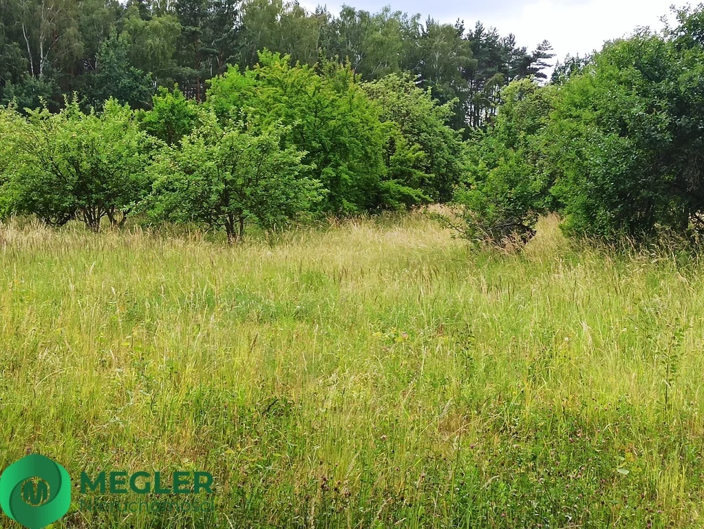 Działka 950,00 m², oferta nr , 198/9507/OGS, Rusiec