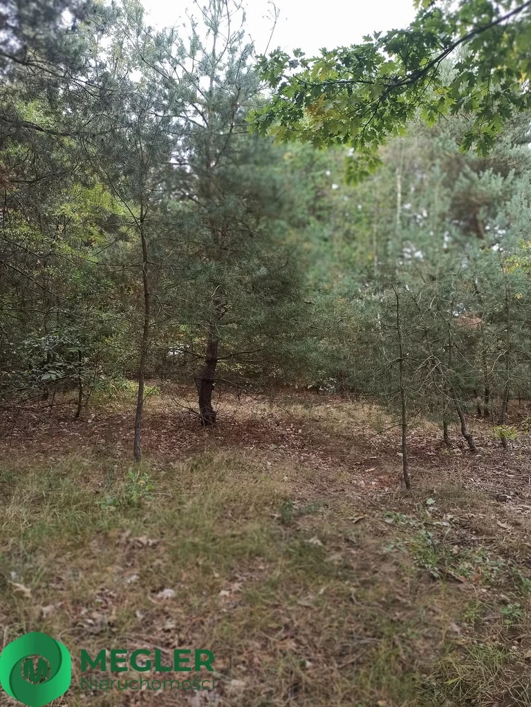 Działka 1 300,00 m², oferta nr , 209/9507/OGS, Zalesie