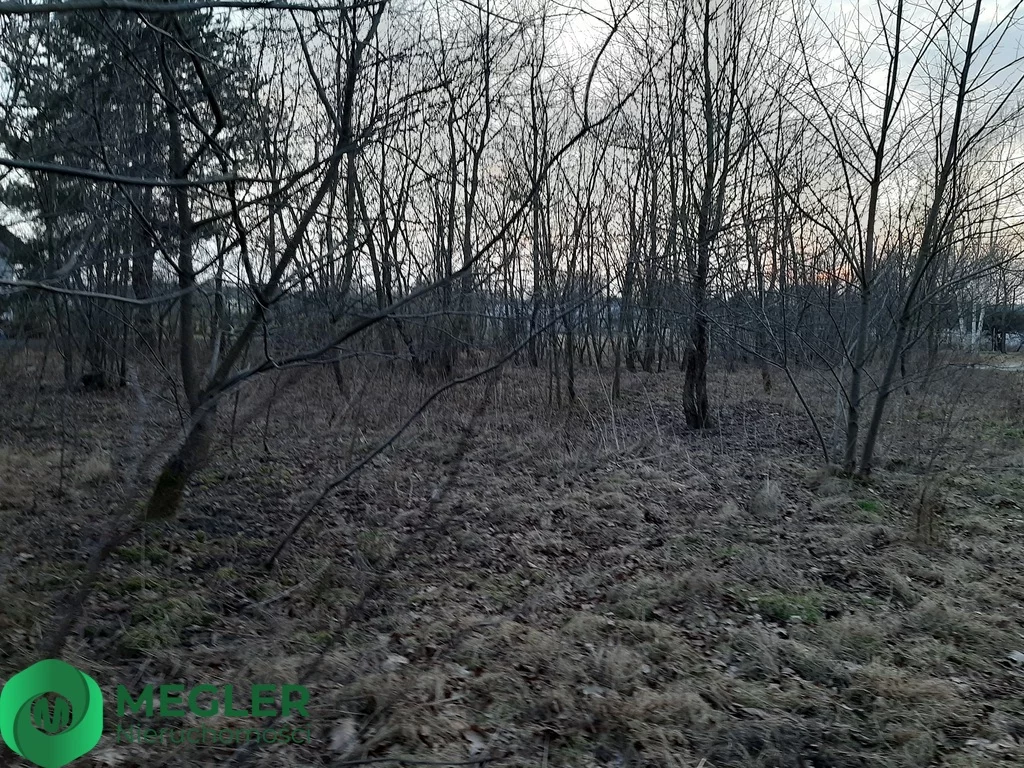 229/9507/OGS - zdjęcie nr 0