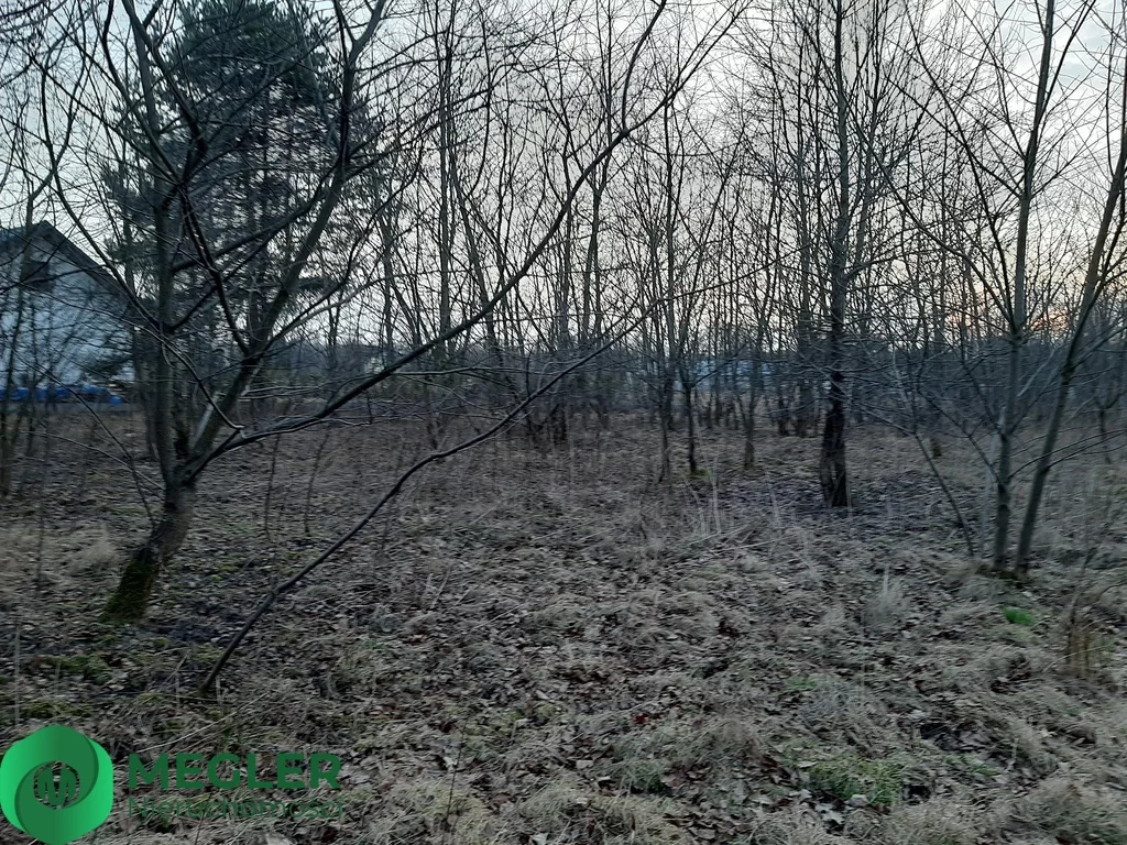 229/9507/OGS - zdjęcie nr 3