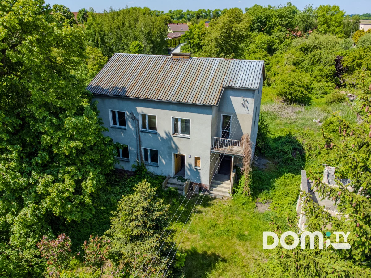 475635 - zdjęcie nr 3