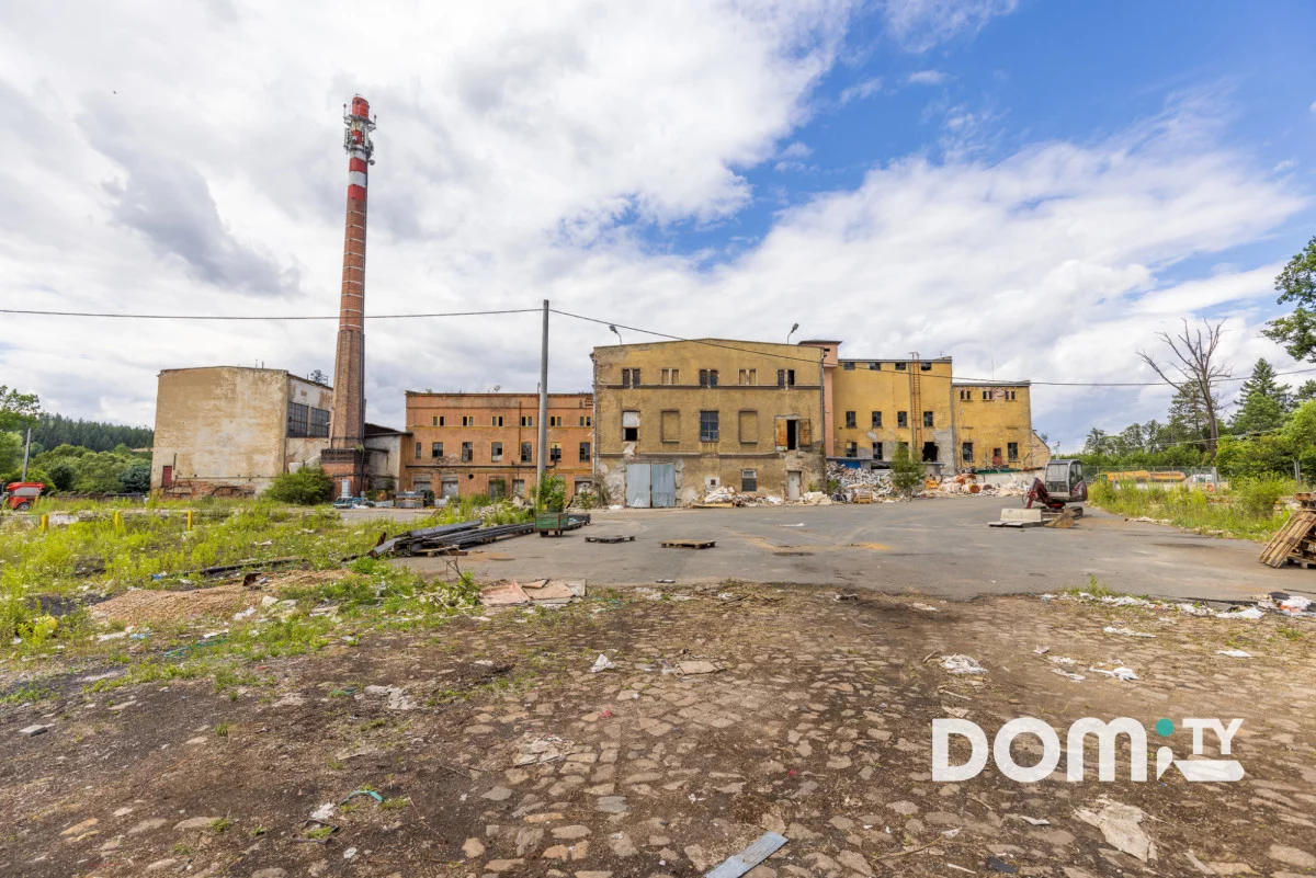 349663 - zdjęcie nr 3