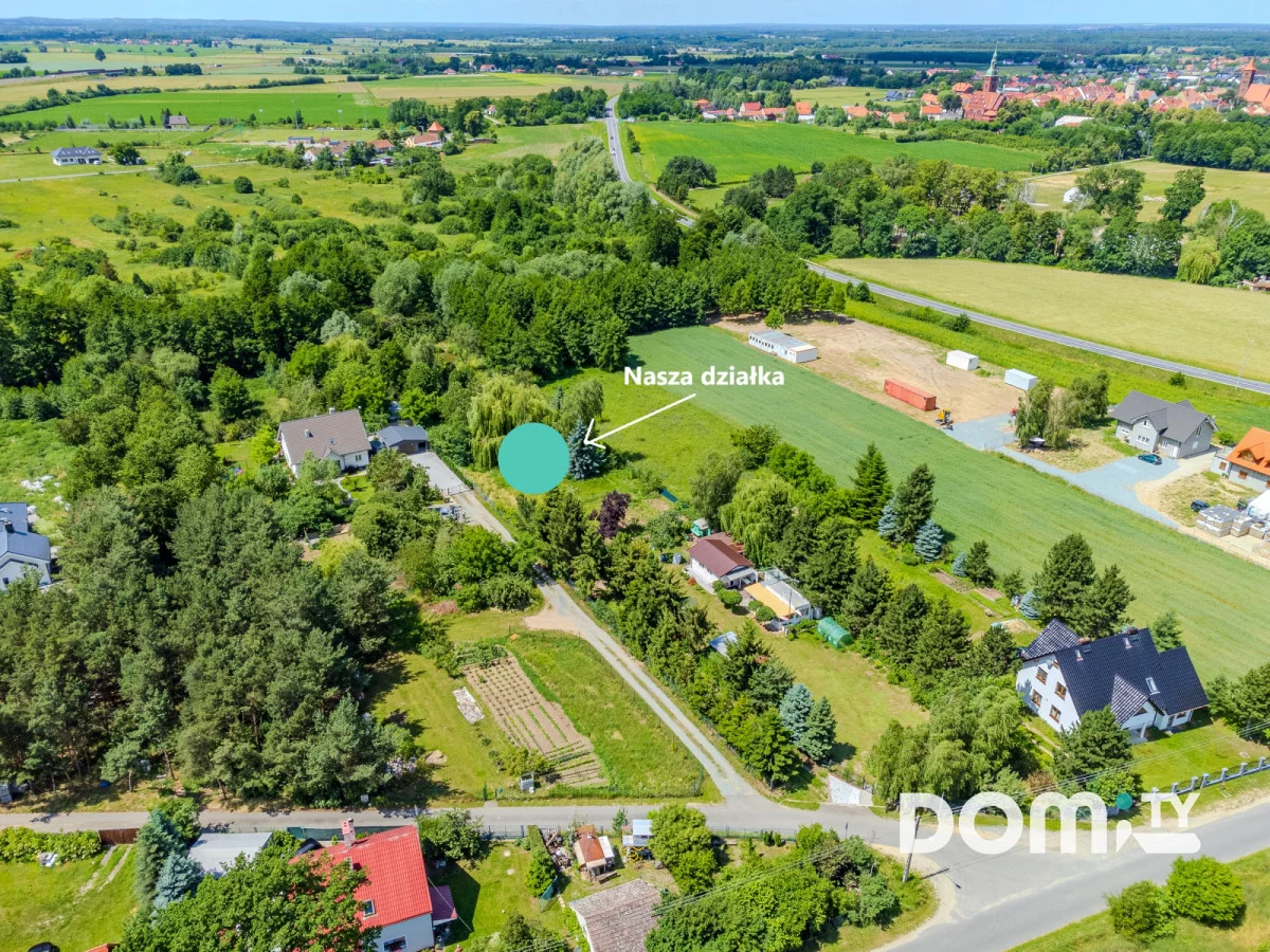 164721 - zdjęcie nr 3