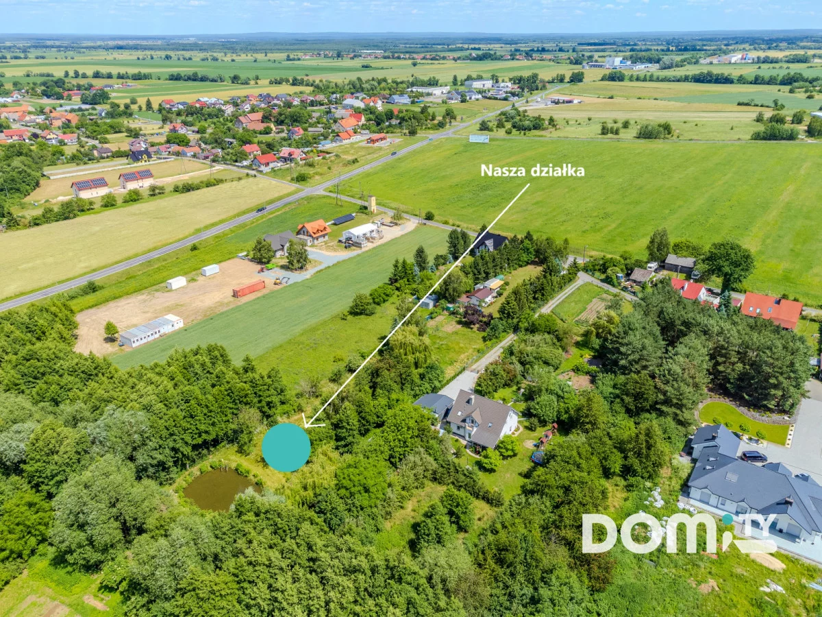 164721 - zdjęcie nr 4