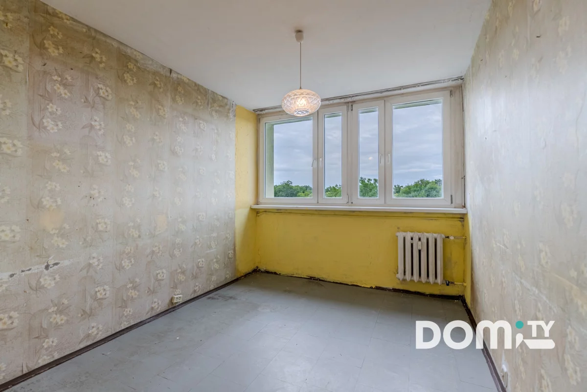 255745 - zdjęcie nr 0