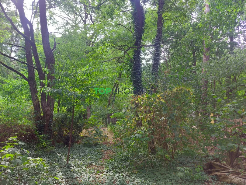 Działka 2 775,00 m², oferta nr , TB#481047875, Milanówek