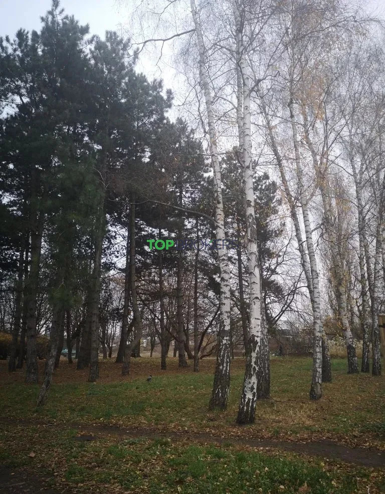 2 pokoje, mieszkanie 62,00 m², piętro 2, oferta nr , TB#788092634, Warszawa, Włodarzewska