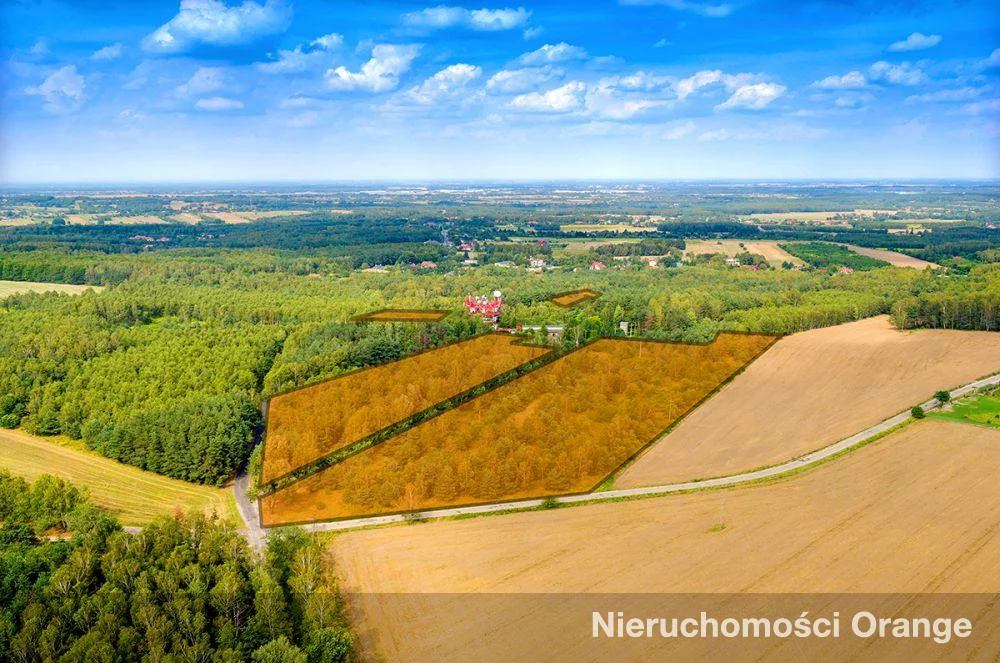 Działka 33 031,00 m², oferta nr , T08874, Dąbrowa