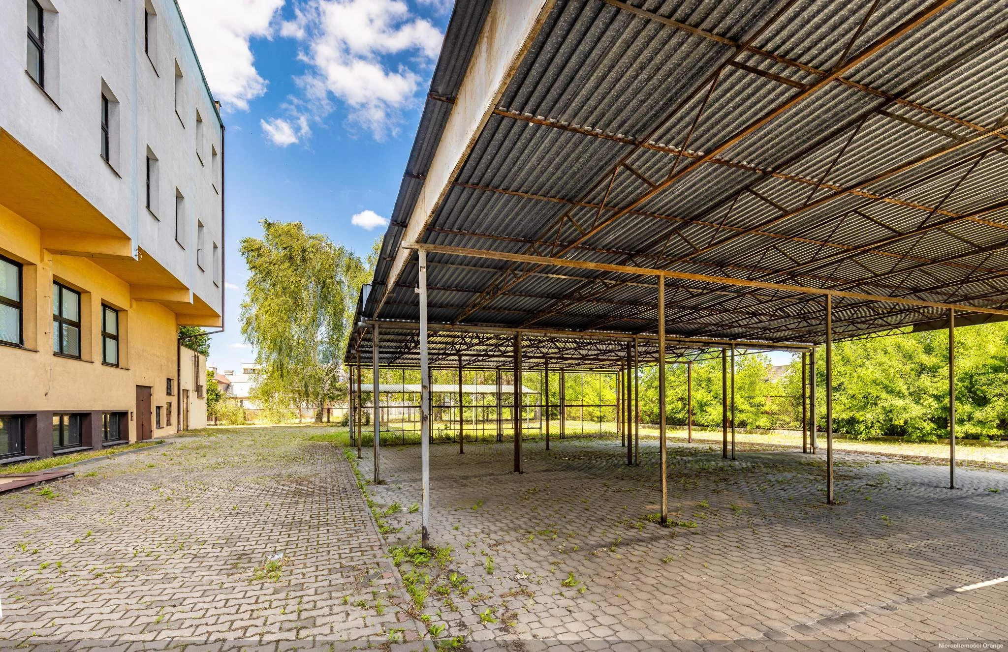 T03474 - zdjęcie nr 4