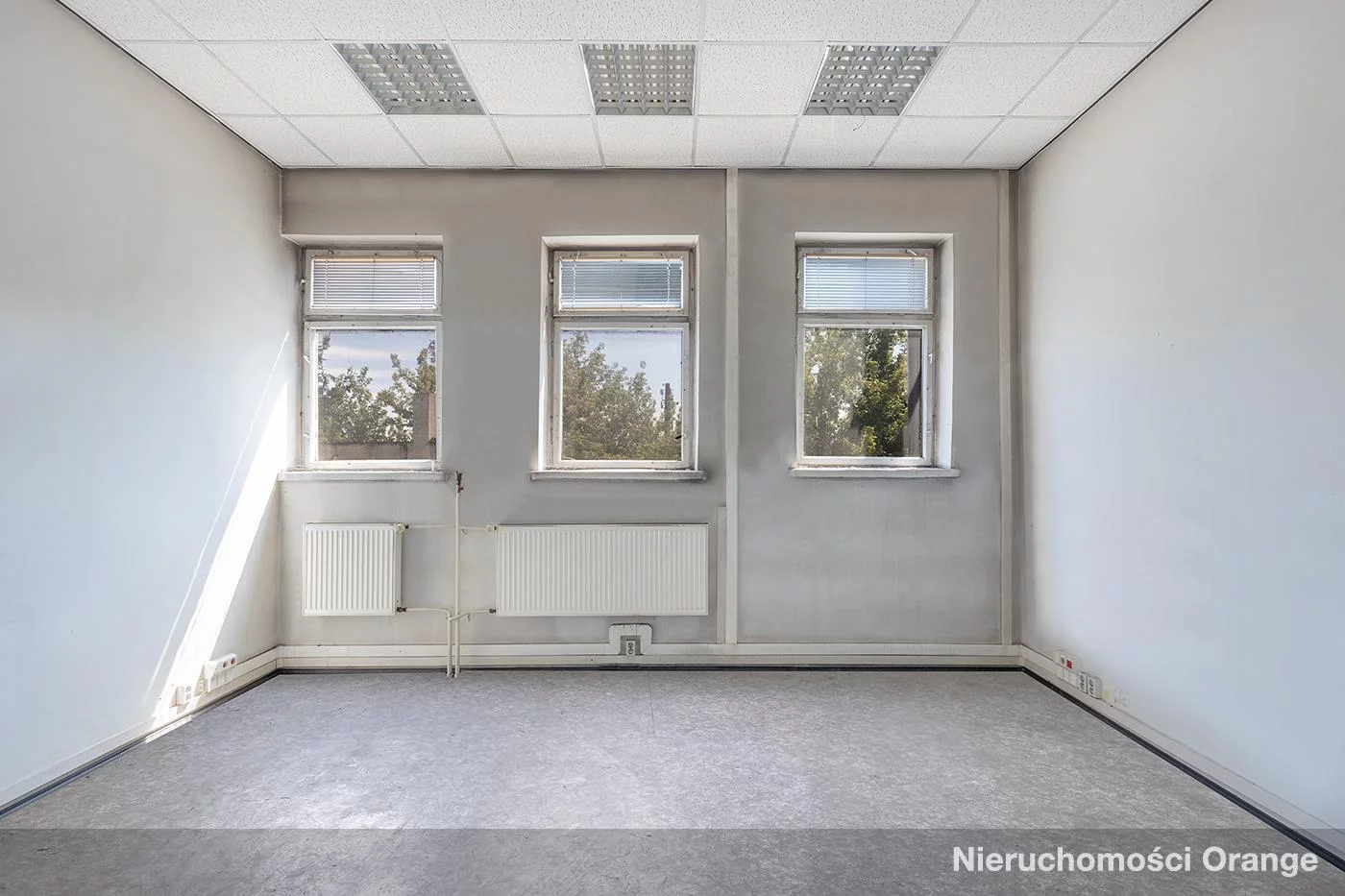 Biuro 1 260,00 m², oferta nr , T04295, Ozorków, ul. Wyszyńskiego