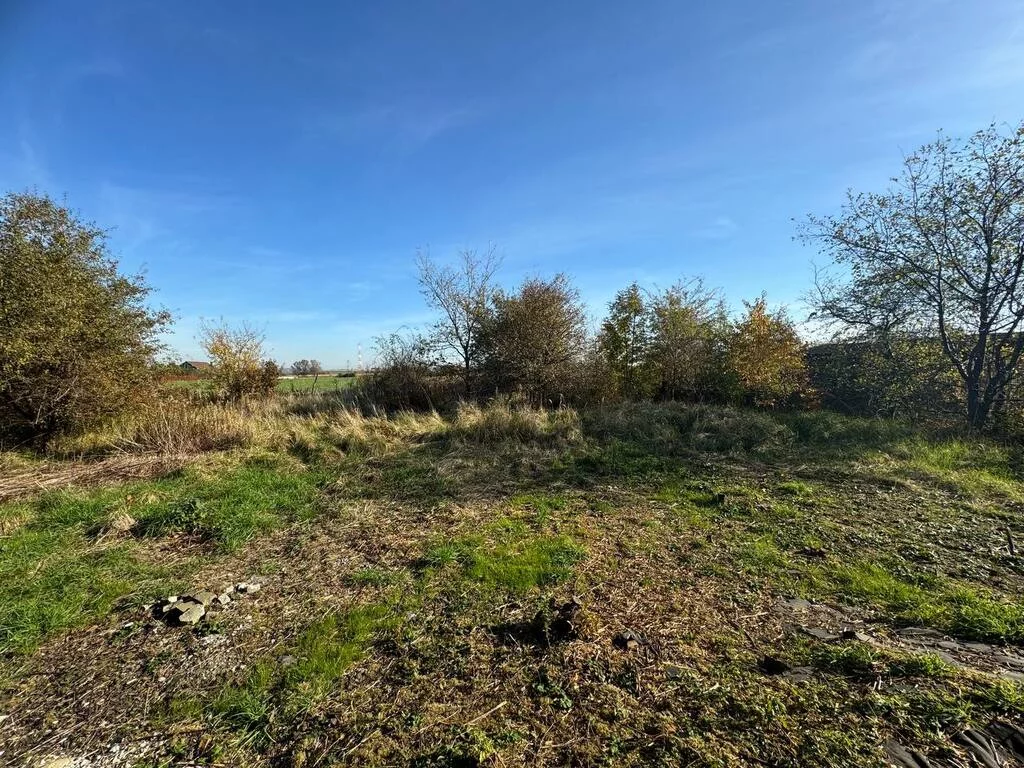 Dom 298,00 m², oferta nr , 308/7250/ODS, Szewce