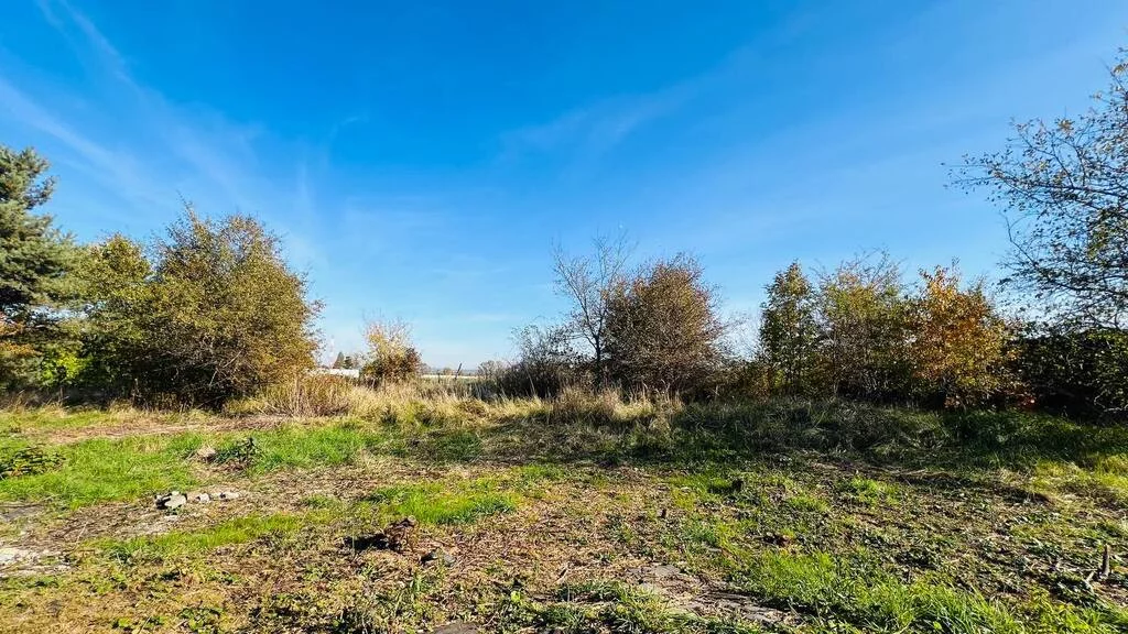 Dom 298,00 m², oferta nr , 317/7250/ODS, Szewce
