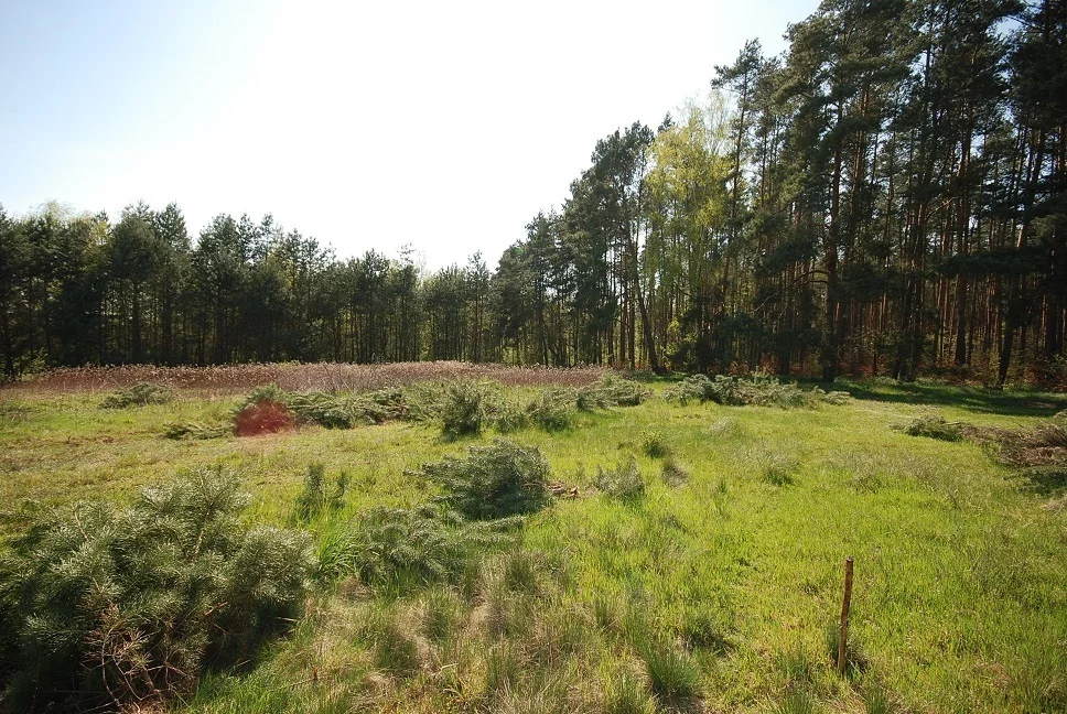 Działka 1 000,00 m², Grodzanów, Sprzedaż