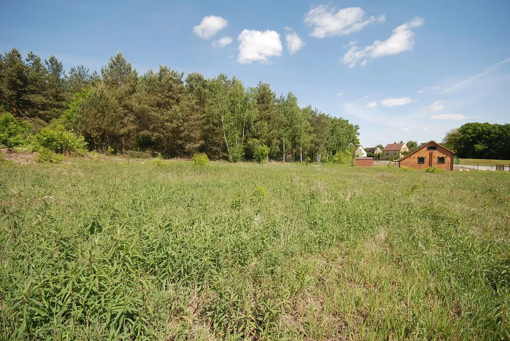 143/7250/OGS - zdjęcie nr 4