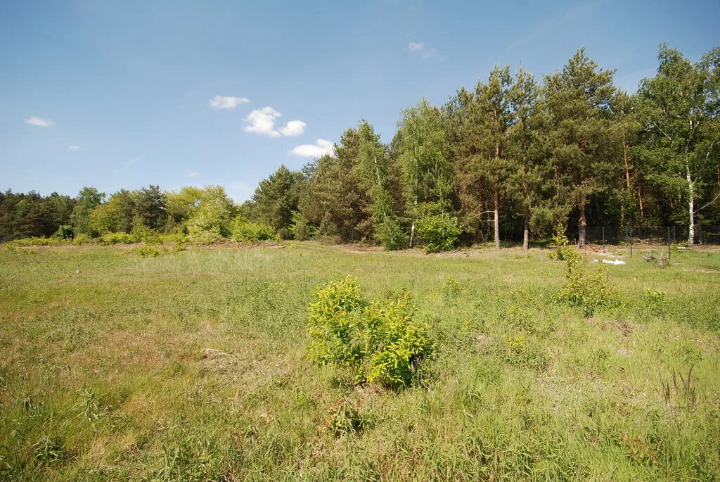 Działka 1 000,00 m², oferta nr , 149/7250/OGS, Grodzanów