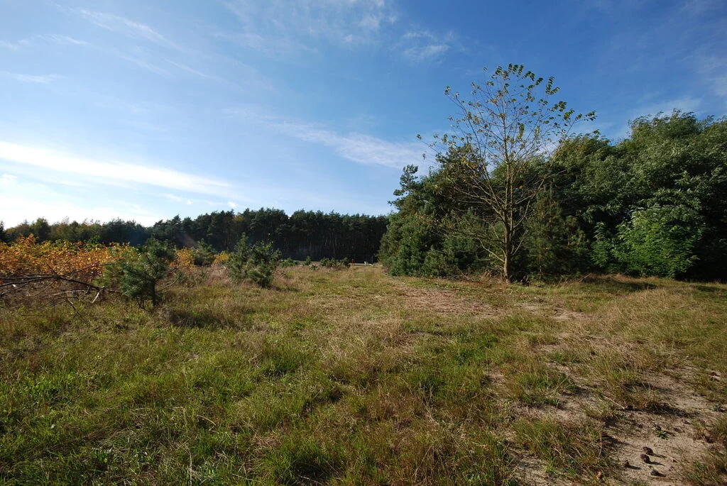 Działka 1 360,00 m², oferta nr , 150/7250/OGS, Grodzanów